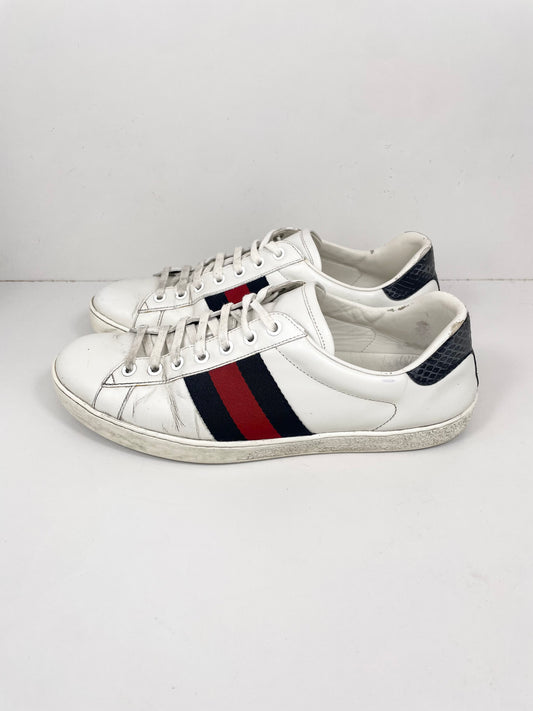 Gucci Ace Sneaker